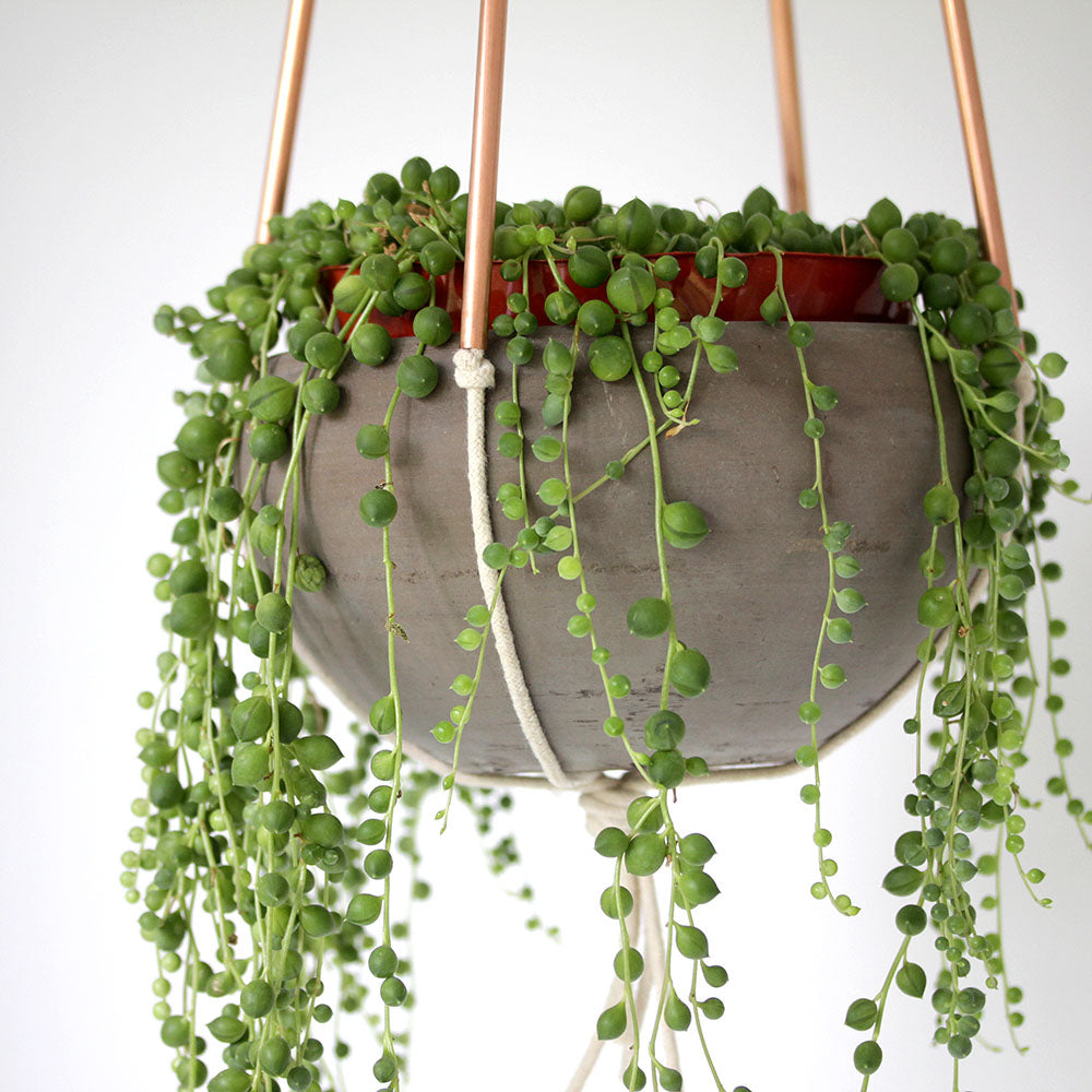 Modern Copper and Cotton Plant Hanger - Minimalist Handmade Style