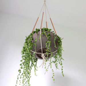 Modern Copper and Cotton Plant Hanger